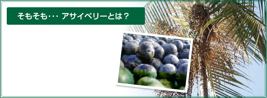 そもそも･･･ アサイベリーとは？