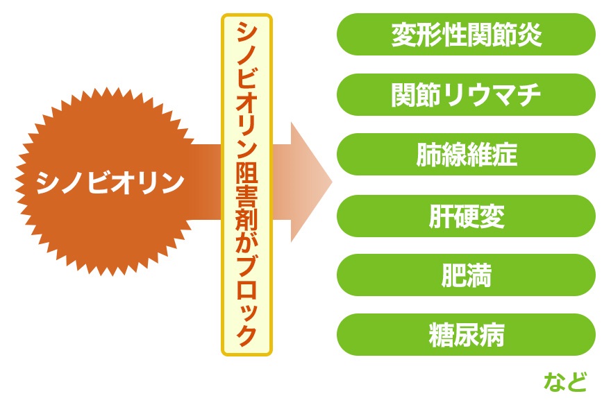 シノビオリンをアンチノビンがブロック！
