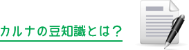 カルナの豆知識とは？