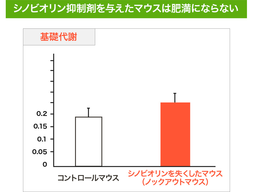 若い頃に比べて、こんな変化を感じませんか？