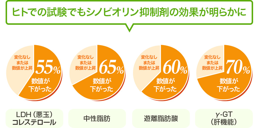 ヒトでの試験でもシノビオリン抑制剤の効果が明らかに